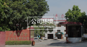 公司環(huán)境